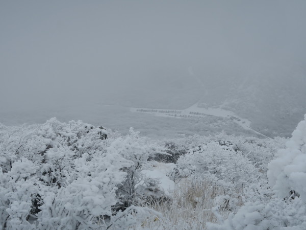 くじゅう雪山　　2023.01.29（日）_a0166196_11123223.jpg