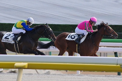 オメガタキシード（２歳新馬・ダート１６００ｍ優勝）_b0015386_20524923.jpg