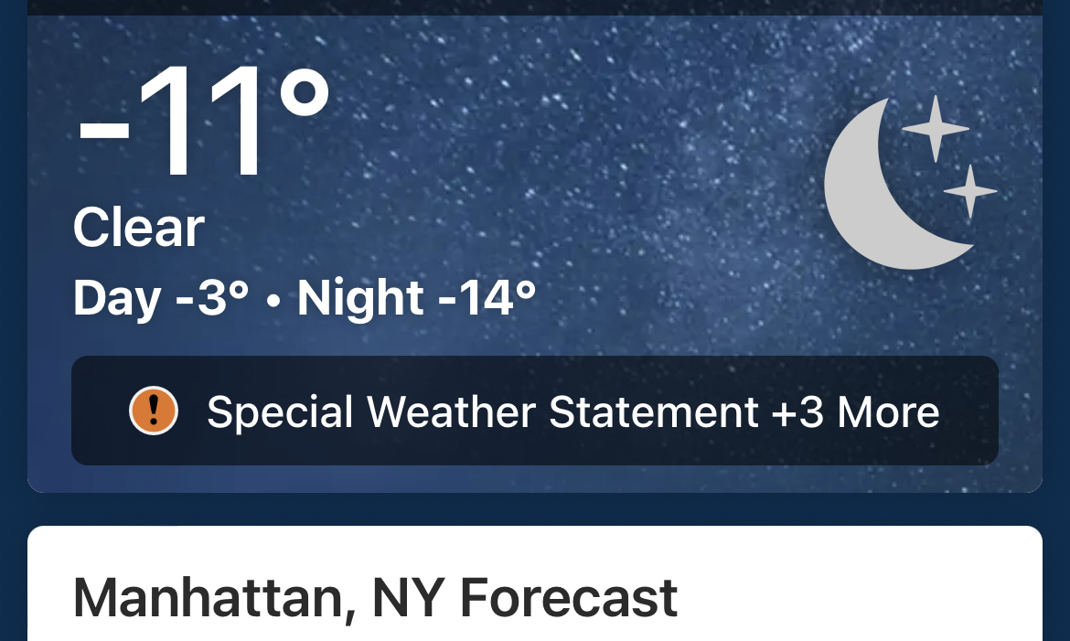 NYに寒波がやってきた_a0122243_10410438.jpg