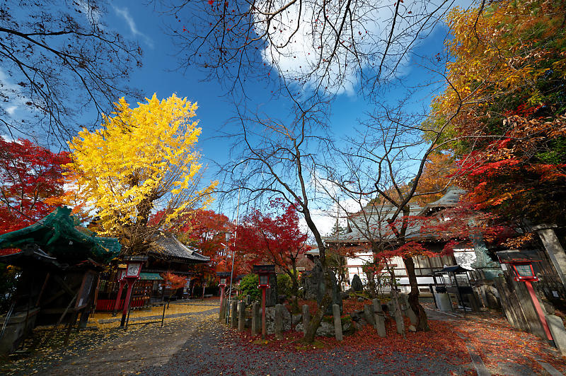 2022年京都の紅葉＠松ヶ崎　妙円寺_f0032011_07422586.jpg