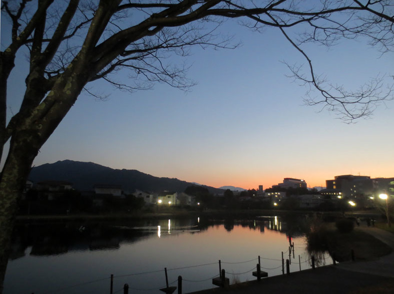  ■異国の池のほとりで哭（おら）ぶ夜――そして週替わりの夕暮れ［1/31-2-5］_d0190217_22252460.jpg