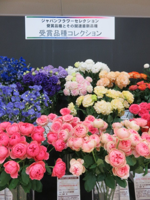 花の展覧会_b0133750_20243172.jpg