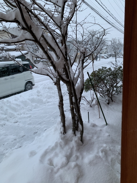 大雪でゴンス！_f0160554_20055990.jpg