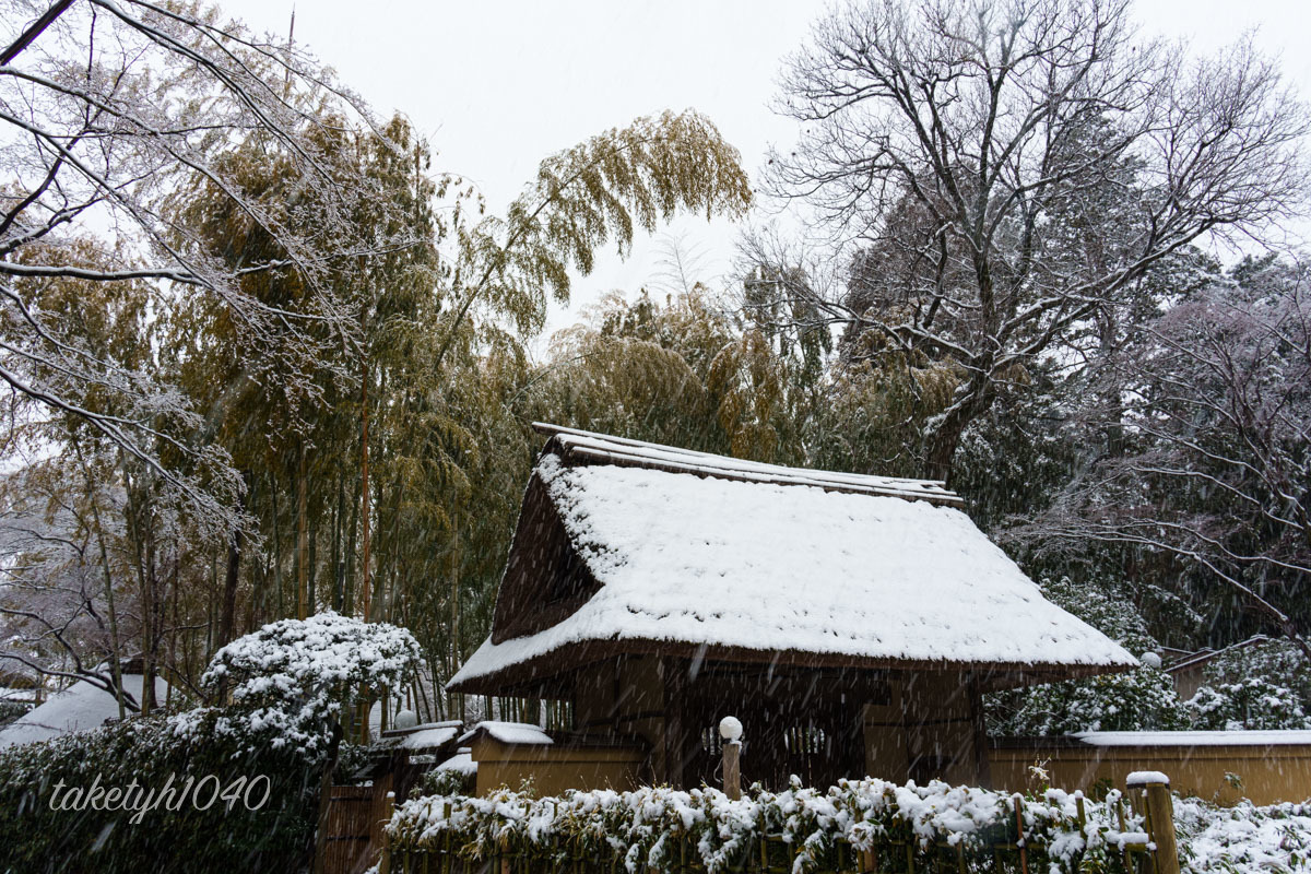 雪化粧の茅葺き_a0261169_16030193.jpg