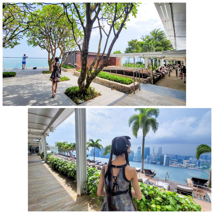 Penang母子留学〜番外編シンガポール①〜Marina Bay Sands・Gardens by the Bay etc._d0224894_04214178.jpg