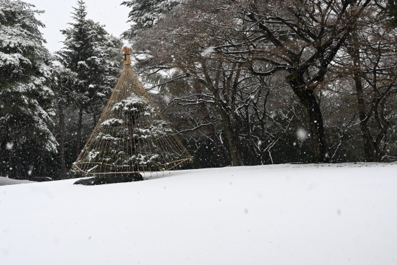 春の雪_c0047919_11490265.jpg