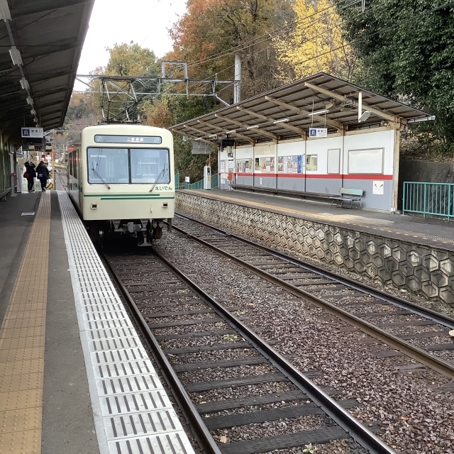 ツアー初日、乗りたかった叡山電鉄で鞍馬へ。_a0334793_13414245.jpg