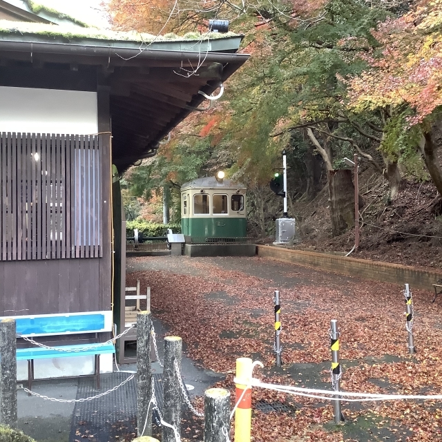 ツアー初日、乗りたかった叡山電鉄で鞍馬へ。_a0334793_13490202.jpg