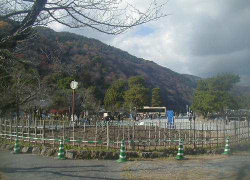 ●中ノ島公園の枝垂れ桜植え替え_d0053294_01455004.jpg
