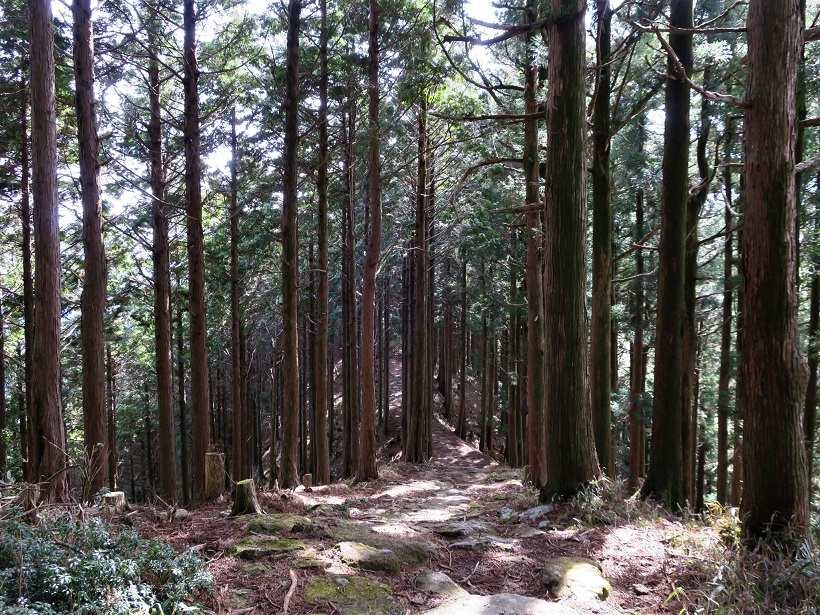 大雲取越・小雲取越（熊野古道）_a0286351_10181637.jpg