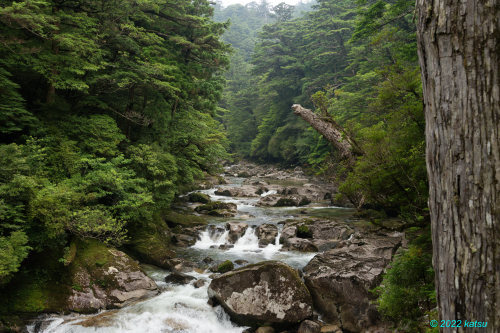 魅惑の屋久島（２）_e0366896_21434514.jpg