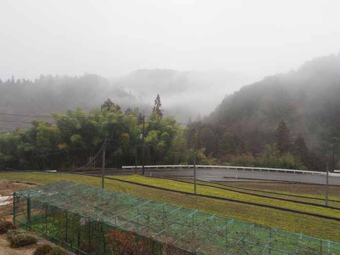 雨の一日_c0116915_23173147.jpg