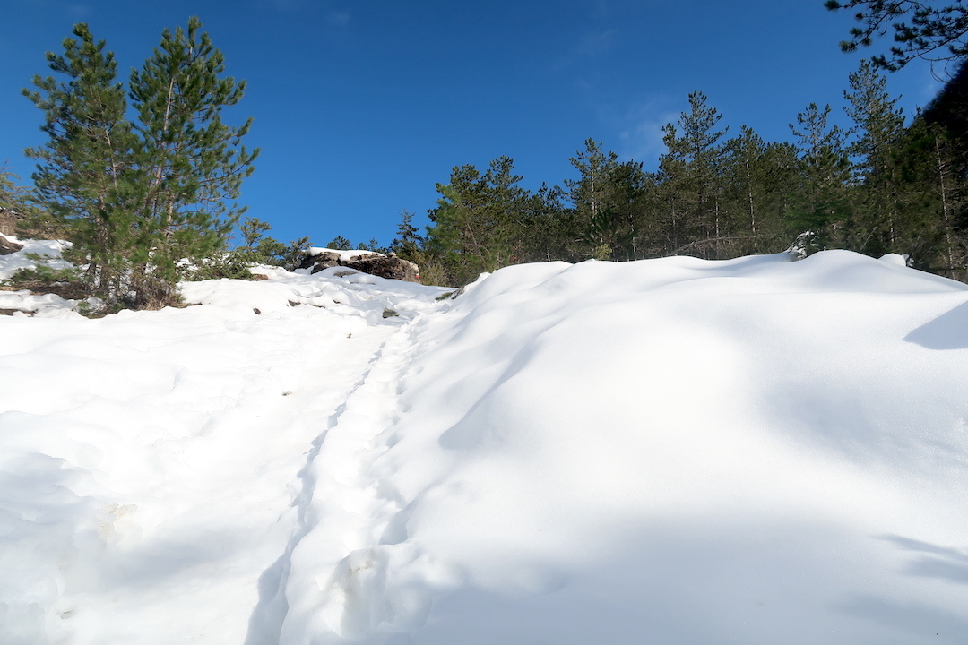 クロッカス咲く雪の森歩いてラヴェルナ修道院へ_f0234936_08095432.jpg