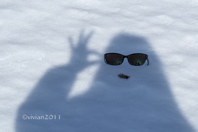 ２月の撮影会　～奥日光の雪と氷～_e0227942_23052909.jpg