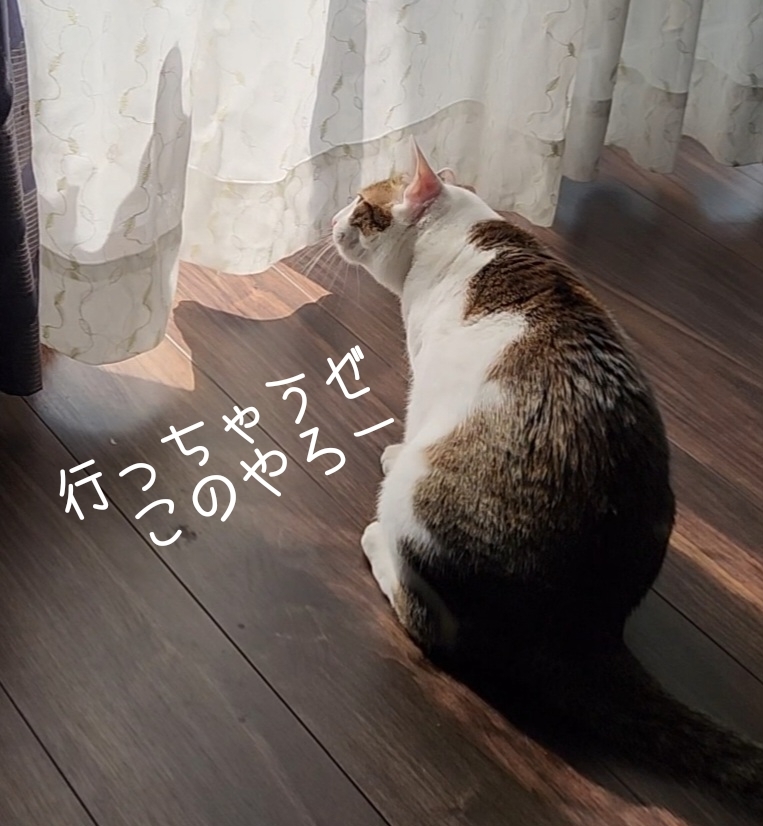 さかなさかなさかな_e0338831_02502839.jpg