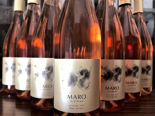【ワイン】MARO Wines『pinot noir 2022』Blane de Noir　First✨Release&#127381;_e0173738_20440677.jpg