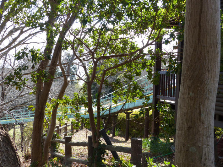 富士山の日なので吾妻山公園展望台から_f0296312_22382075.jpg