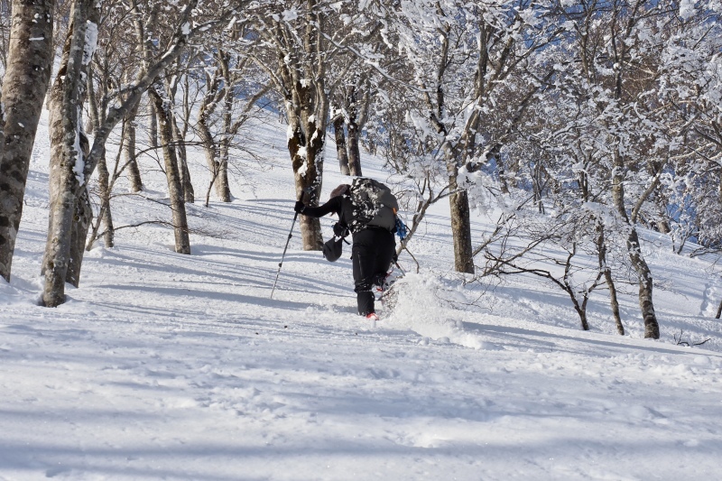 タカマタギ山　2023/2/18_b0189948_17550417.jpeg