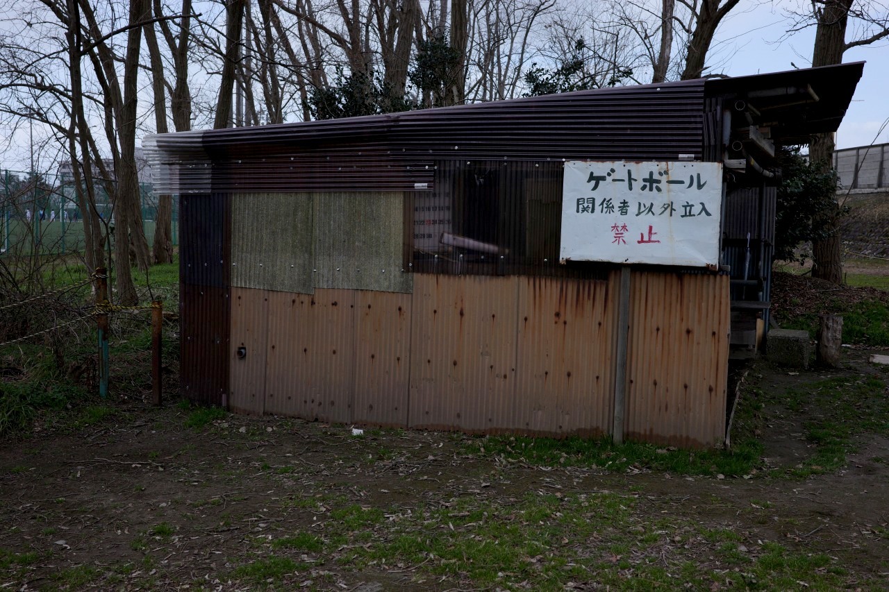 晴れの日曜日、いつものように球技場のわきを通って図書館の公園へ。　20230226_c0082800_20580906.jpg