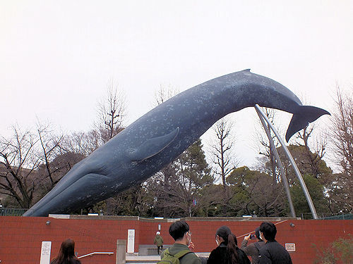 上野公園 ＆ 国立科学博物館_e0413146_20024082.jpg