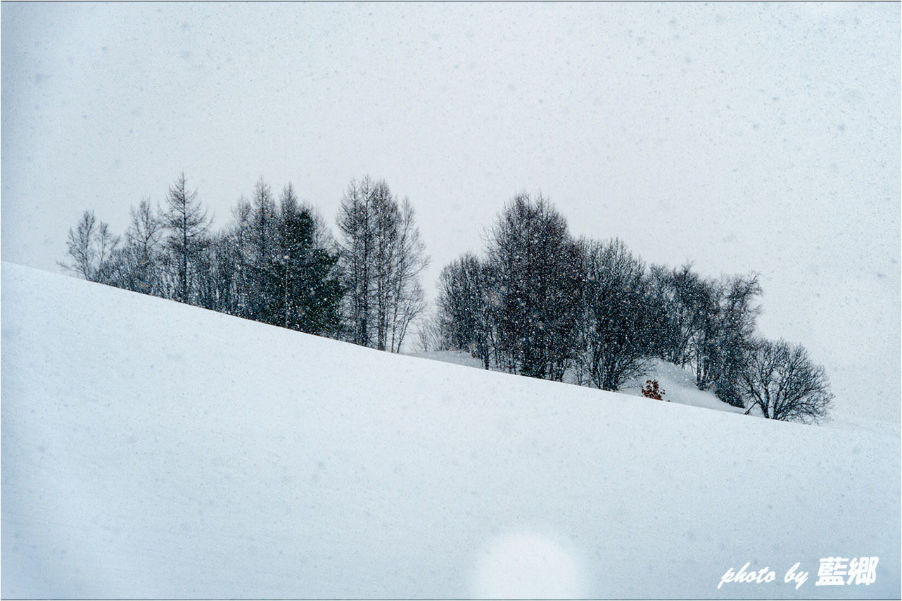 「玉雪」_a0245331_16561309.jpg