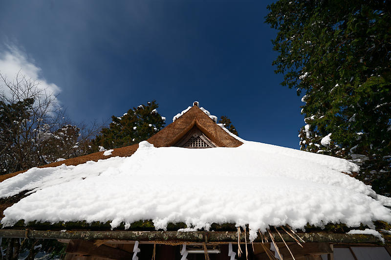 福井の雪景色＠若桜町　神宮寺_f0032011_07534160.jpg