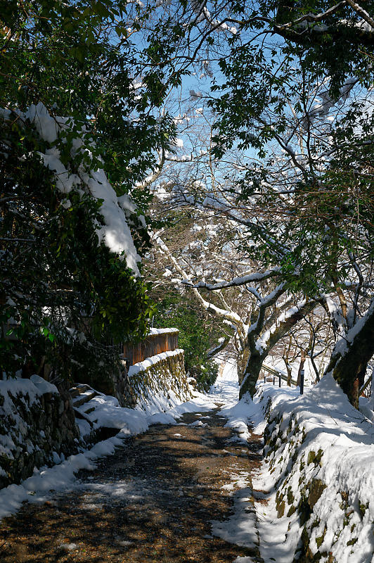 福井の雪景色＠若桜町　神宮寺_f0032011_07534207.jpg