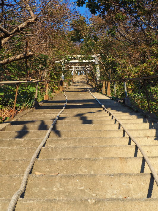 2022.09.26 大田山神社_a0225740_06443121.jpg