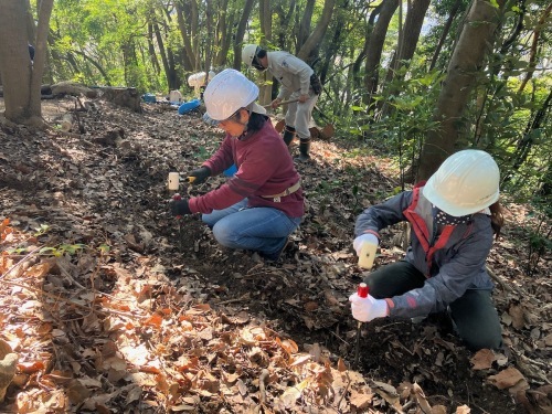 2023年３月５日　土留めづくり（3/4作業地のつづき）_b0186740_10284152.jpg