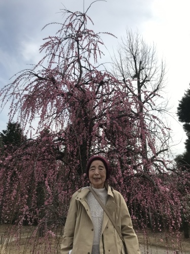 梅の花とハハ87歳_e0095194_11104884.jpeg