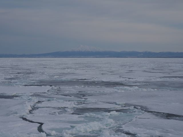流氷砕氷船オーロラ号に乗ってきました♪_e0406439_13322784.jpg