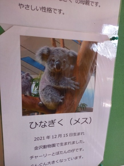 金沢動物園_b0299052_17124086.jpg