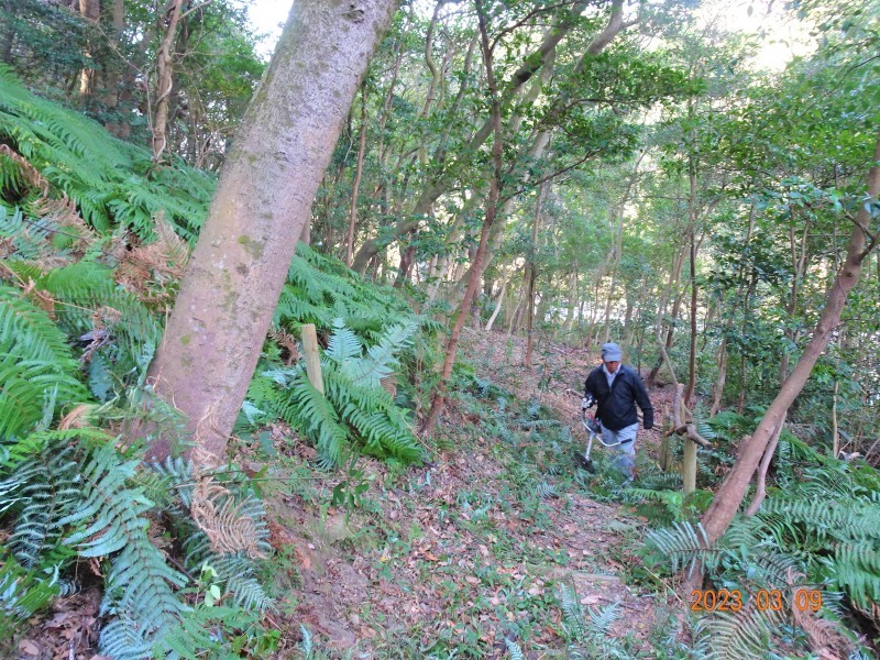 ぼうけん山の草刈り・伐採木片付け・・・定例活動日_c0108460_14273648.jpg