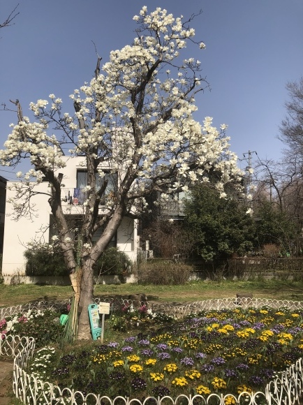 公園散歩。_e0169470_19350020.jpeg