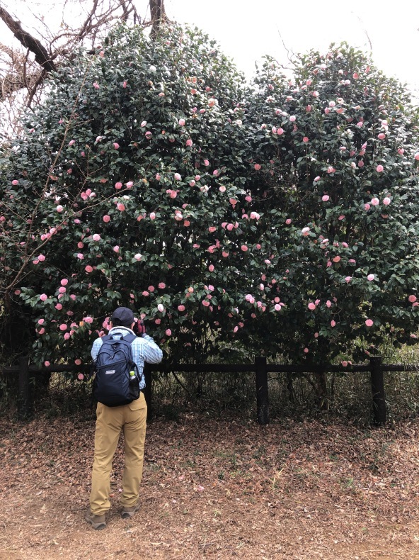 多峯主山歩き　西川材_a0129492_06471940.jpeg