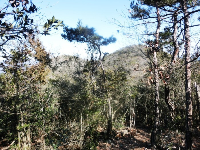 No575　岡山観音寺山・水引ノ滝～中山コース_b0185573_07272578.jpg