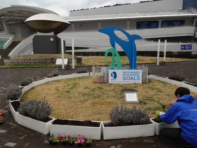 名古屋港水族館前花壇の植栽R5.3.13_d0338682_08034760.jpg