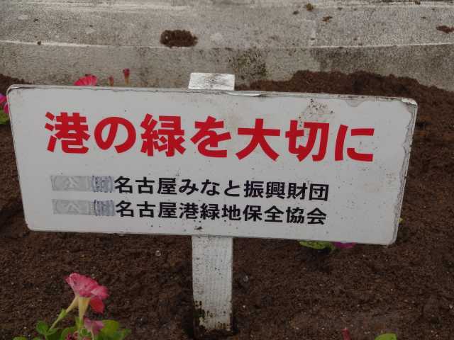 名古屋港水族館前花壇の植栽R5.3.13_d0338682_08070593.jpg