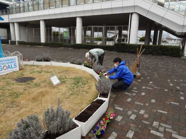 名古屋港水族館前花壇の植栽R5.3.13_d0338682_08084862.jpg