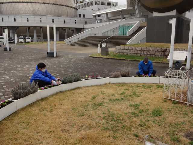 名古屋港水族館前花壇の植栽R5.3.13_d0338682_08091874.jpg