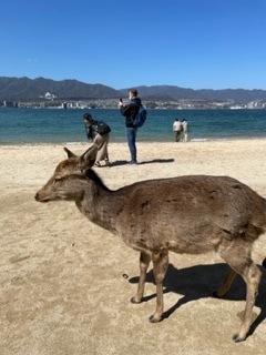 広島に行ってきました_f0181602_12233267.jpg