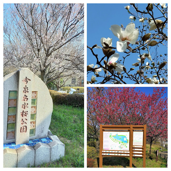 東京では桜が開花したとか・・・_d0345667_12234224.jpg