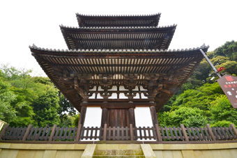 国宝建造物：當麻寺_c0195909_12280704.jpg