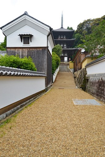 国宝建造物：當麻寺_c0195909_12283117.jpg