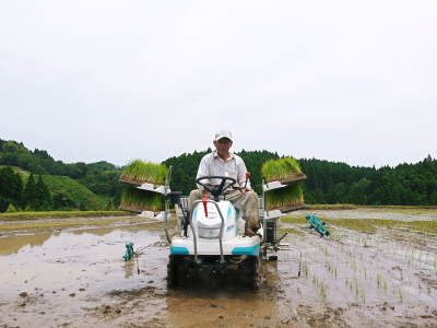 菊池水源棚田米　令和4年度の「菊池水源棚田米」は完売御礼！豊かな森と清らかな水が育んだお米！_a0254656_16543512.jpg