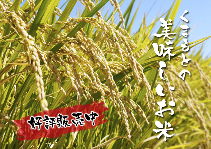 菊池水源棚田米　令和4年度の「菊池水源棚田米」は完売御礼！豊かな森と清らかな水が育んだお米！_a0254656_17201616.jpg