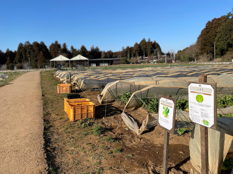 【今日からの新天地】農園リゾート「THE FARM」＠千葉県香取市_b0008655_01225762.jpg