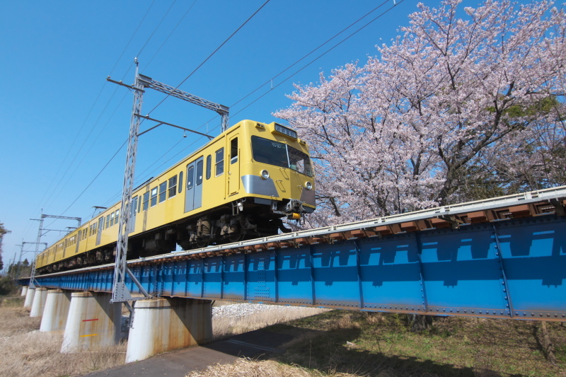 春の宇賀川 - てふの鉄散歩