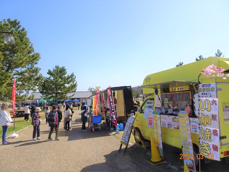 「せんなん里海さくらフェス」 ・・・（木の名札のお絵描き・カブトムシ幼虫観察）_c0108460_18420869.jpg