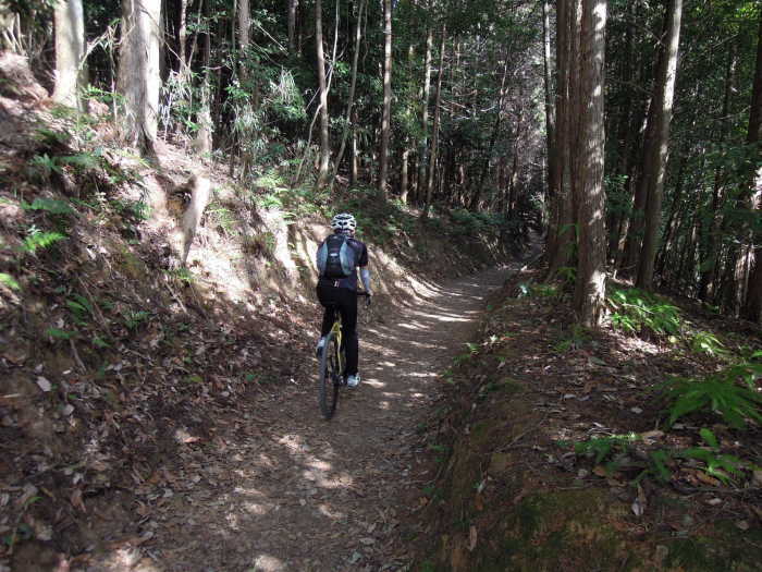 日本最古の道 山の辺の道 南コース_d0174462_00013499.jpg